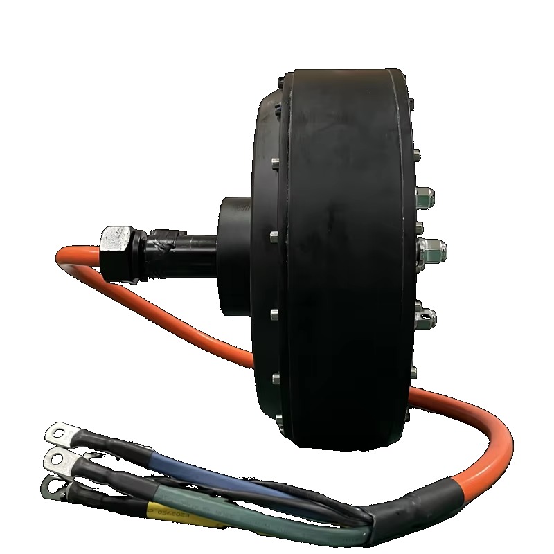 Dual QS 273 8000W 72V Electric - Qs Motor 273 8000W Hub Motor ulasan dan harga